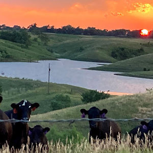 Meet your Posher, Juliana